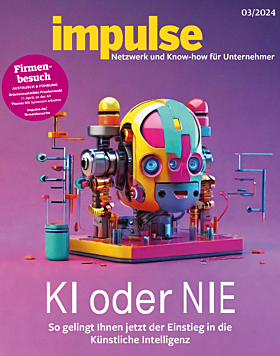 impulse 3/2024-Print-Ausgabe
